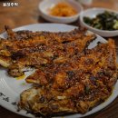 중앙동181 | 올레주막 추천 제주 서귀포 맛집 휴무일 주차 리뷰 안내