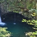 숲속계곡 이미지