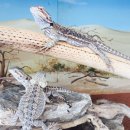 서천생태공원 이미지