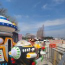 김제김밥 | 전북 김제 꽃빛드리축제 후기