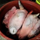 읍성뚝배기 이미지