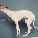 가가스튜디오 이미지