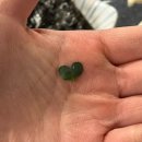 숙성로 | [의정부] 숙성로 바다길 | 숙성회 | 후토마끼 | 얼큰 매운탕 | 술이 술술 들어가는 존맛 횟집 | 나랑...