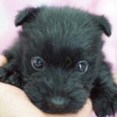 몽글몽글 이미지