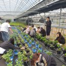 강원감영_2 이미지