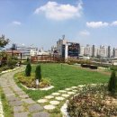 서구청 옥상생태공원 이미지