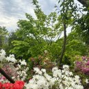 블루마린 캠핑장 이미지