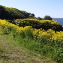 진량초등학교 이미지