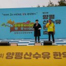 경기 양평 산수유 정보화마을 네이버블로그