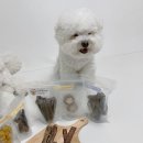 똘멍이네 이미지