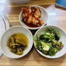 태양약초 | 울릉도 맛집 태양식당 따개비칼국수, 현지인 추천 건강한 한끼 솔직후기