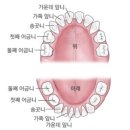 더샵치과