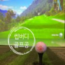 세븐버디스크린골프 | 썹버디 플라워 골프공 선물세트 + 대나무 골프티 사용후기! 디자인도 성능도 만족했던 골프 선물