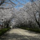 서산한우목장.삼길포항 이미지