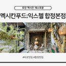 합정개발 - 평택시 용이동 | 합정 맛집 멕시코 칸쿤 여행 온것만같은 익스첼 합정본점 내돈 후기