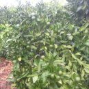 자연유산공인중개사사무소 이미지