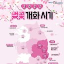 매원민속마을 협동조합 네이버블로그