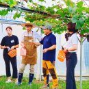 Book Reading 이미지