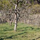 대동농약사 이미지