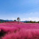 신소양체육공원 이미지