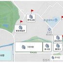 신도안면 야구장 티스토리