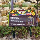 제천뜨레어린이공원 이미지