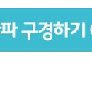 파파초이스
