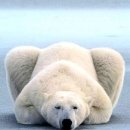 Re:원광대학교 한의과대학 vs 고신대학교 의과대학 이미지