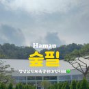 숲필 네이버블로그