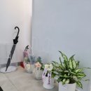 공쌤수학교습소 이미지