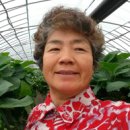 김순희농장 Daum카페