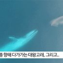 고래피시방 이미지