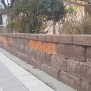 진아조경