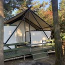 제주 야자원 이미지