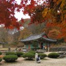 강천산군립공원(현수교) 이미지