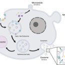 방주동물병원 이미지