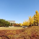 통일동산우체국 이미지
