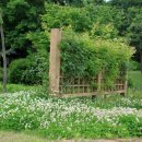 정발산공원 이미지