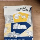 고양이 모래 추천 건강 체크까지 야옹섬 단단보스 후기 벤토나이트 모래 장단점 응고력과 먼지 기준