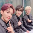 디노