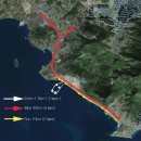 토끼사냥 이미지