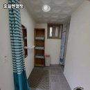 휴일엔펜션 | 자연 속에서 힐링을! 휴일엔캠핑 후기 🌲