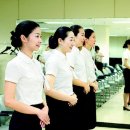승무원 이미지