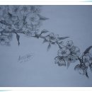 파스텔B 이미지