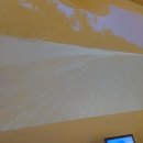 조개본능 이미지