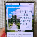 연세대학교 | 연세대학교 캠퍼스투어 진로체험 아이고고 후기 초등학생 추천