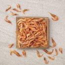 행운동-4 이미지