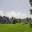 석림3로 이미지