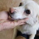 해맑은농장 이미지