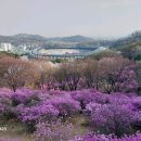 부천-중동-부천-013 이미지